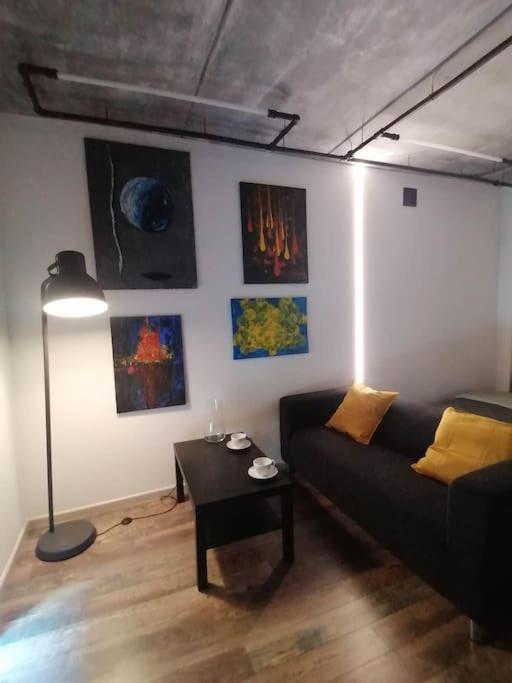Erdvi Studija Spacious Studio Apartment Self Check In VNO Exteriér fotografie
